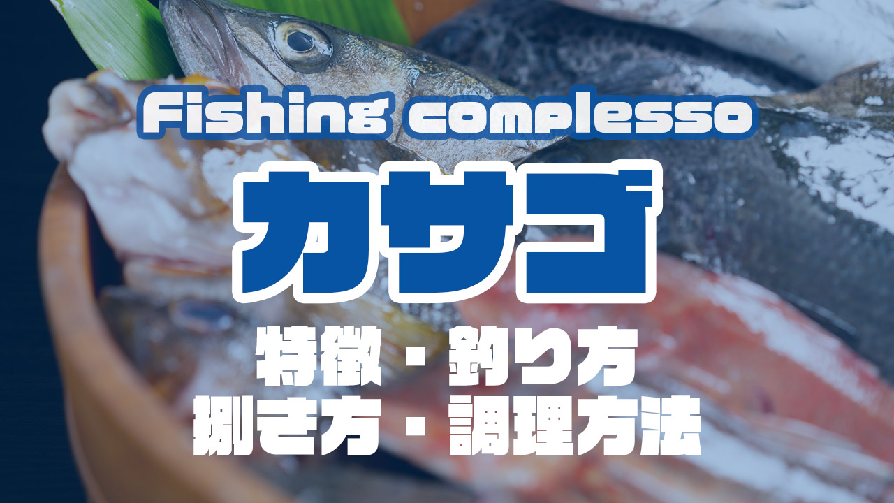 カサゴって何 特徴 釣り方 捌き方 調理方法とことん解説 Complesso Jp