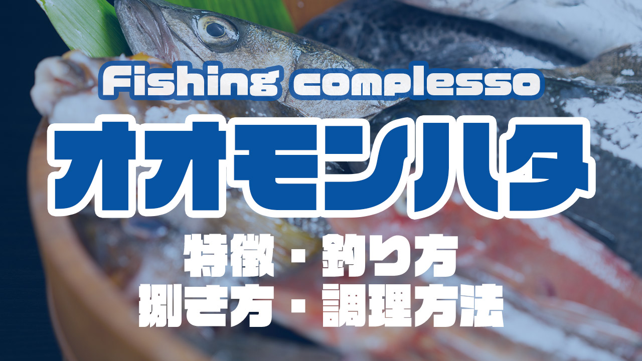 オオモンハタって何 特徴 釣り方 捌き方 調理方法とことん解説 Complesso Jp