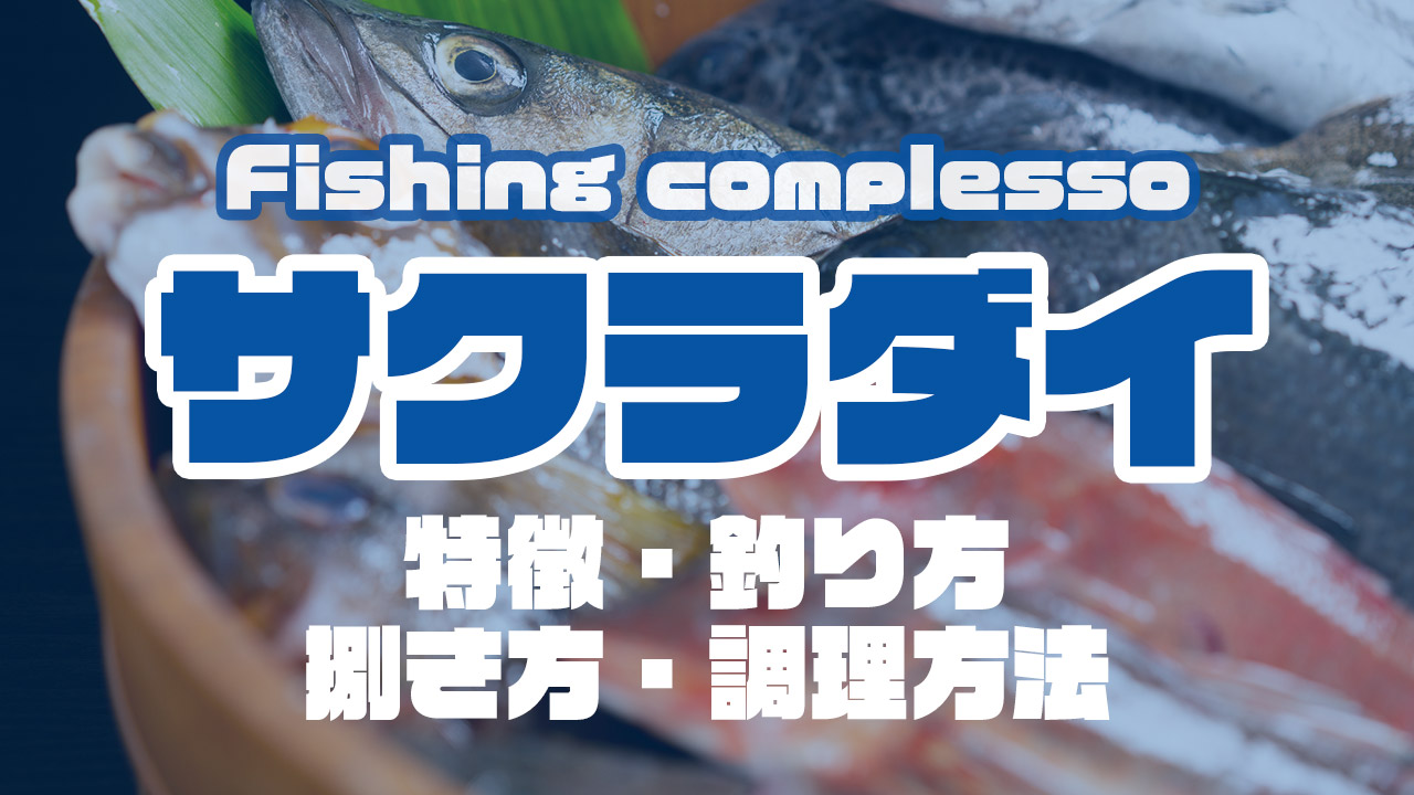 サクラダイって何 特徴 釣り方 捌き方 調理方法とことん解説 Complesso Jp