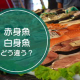 「赤身魚」と「白身魚」の違いをご存知ですか！？