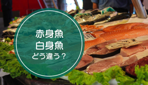 「赤身魚」と「白身魚」の違いをご存知ですか！？