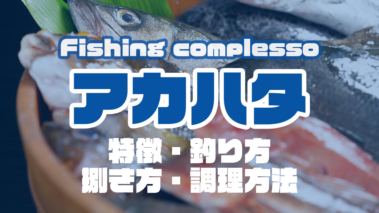 アカハタって何 特徴 釣り方 捌き方 調理方法とことん解説 Complesso Jp