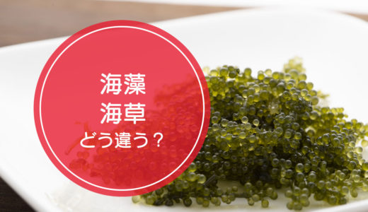 「海藻」と「海草」の違いをご存知ですか！？