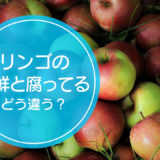「新鮮なリンゴ」と「腐ってるリンゴ」の違いをご存知ですか！？