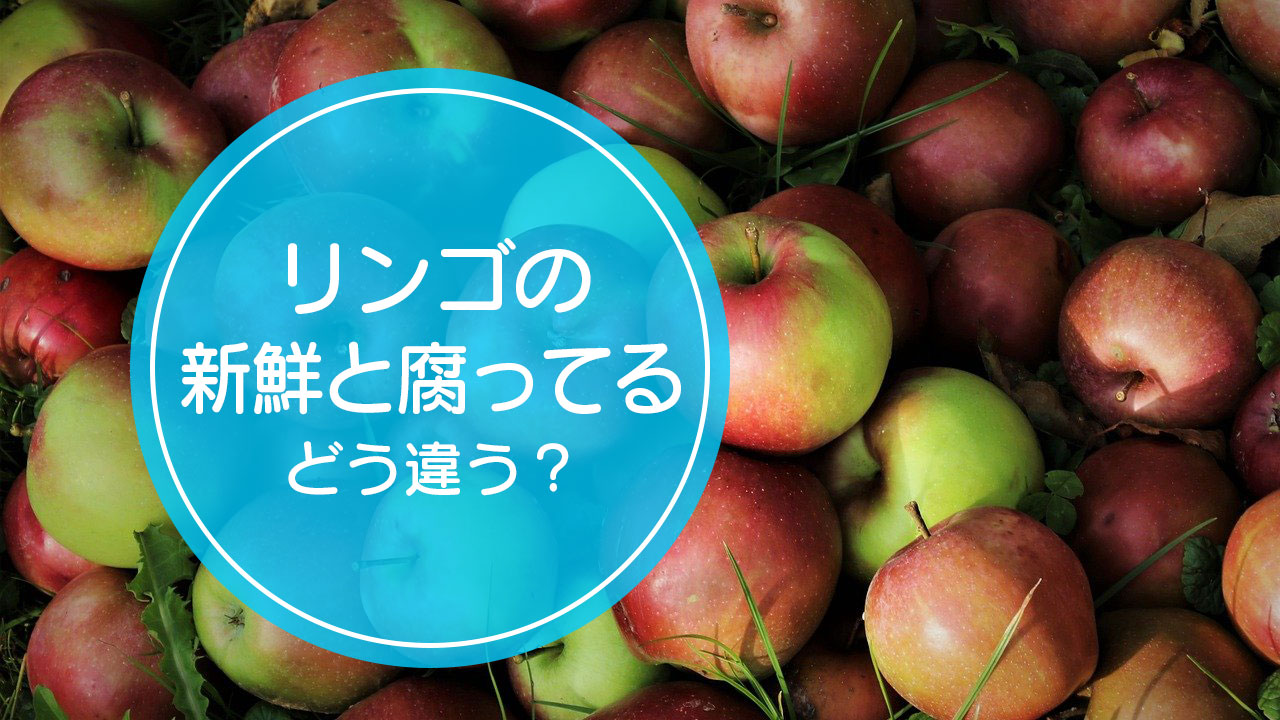 新鮮なリンゴ と 腐ってるリンゴ の違いをご存知ですか Complesso Jp