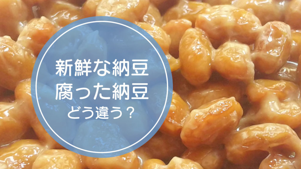 「新鮮な納豆」と「腐った納豆」の違いをご存知ですか！？