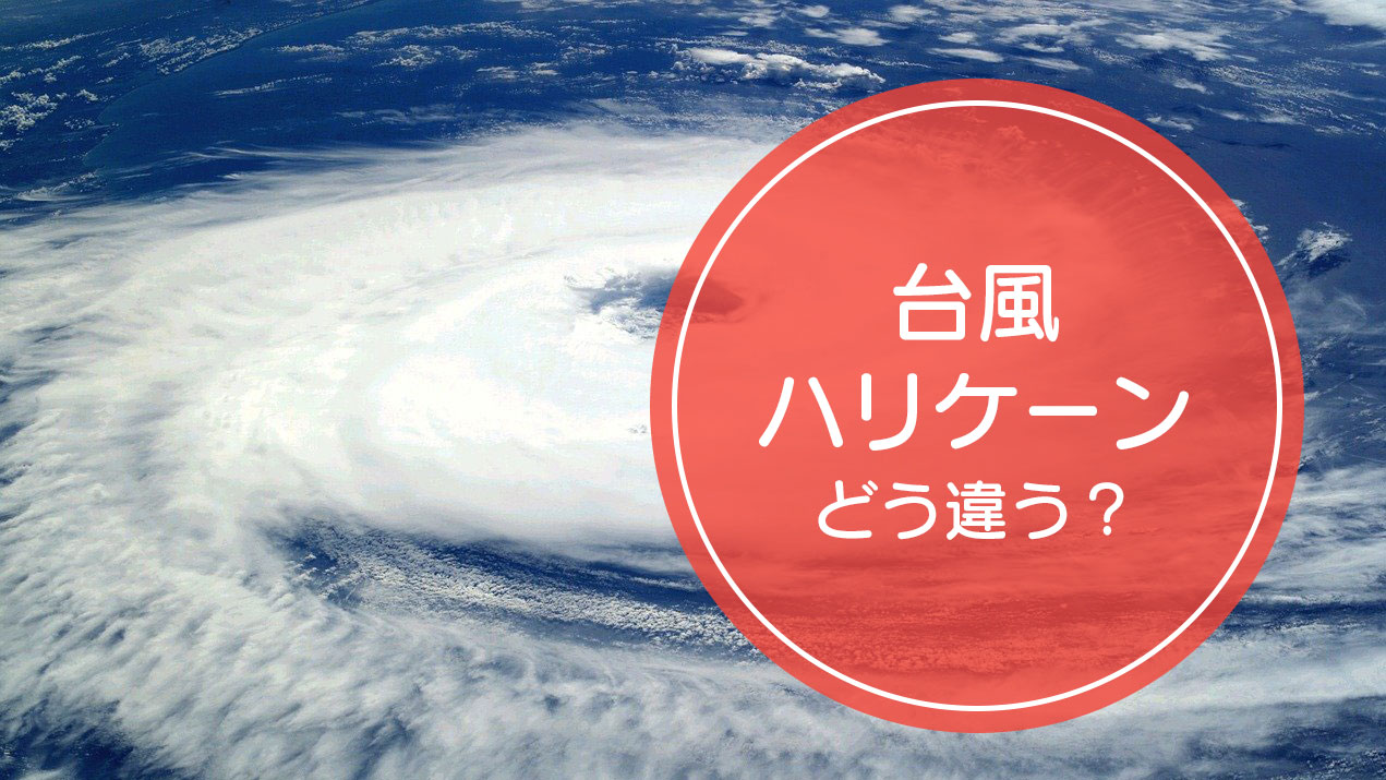 台風 と ハリケーン の違いをご存知ですか Complesso Jp