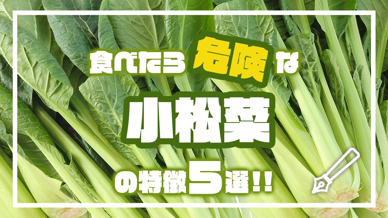 食べたら危険な小松菜の特徴5選 Complesso Jp