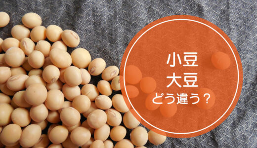 「小豆」と「大豆」の違いをご存知ですか！？